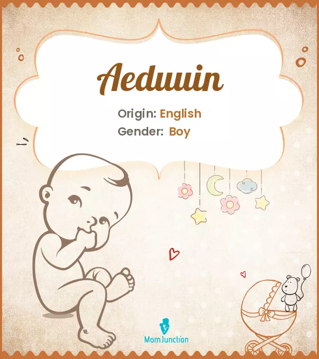 aeduuin_image