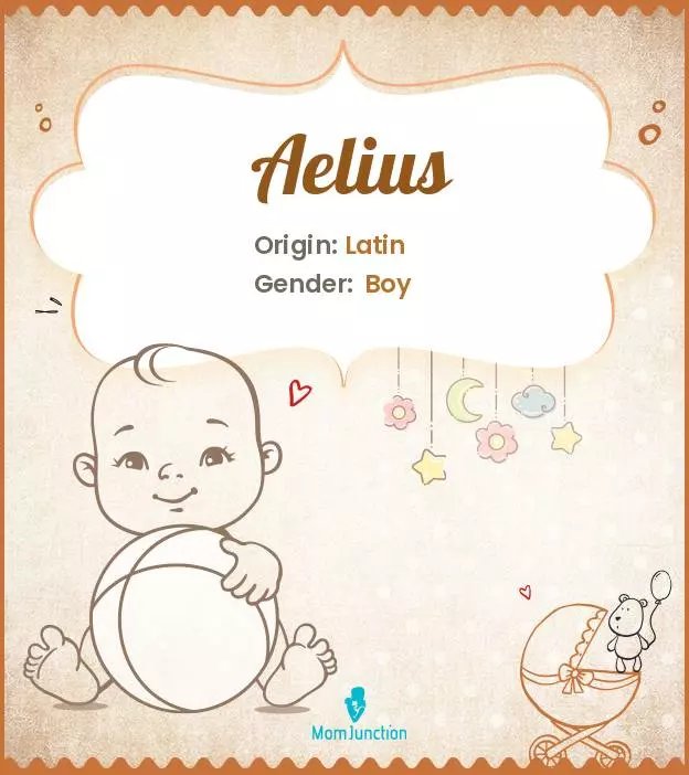 Aelius Baby Name: Meaning, Origin, Popularity | MomJunction