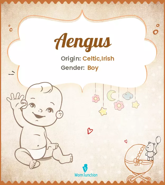 Aengus Baby Name: Meaning, Origin, Popularity_image