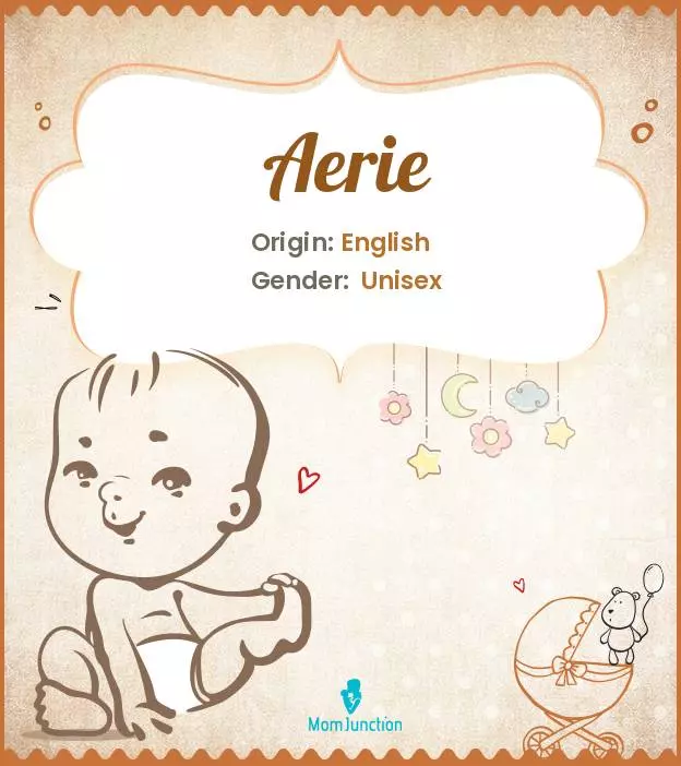 Aerie Baby Name: Meaning, Origin, Popularity_image