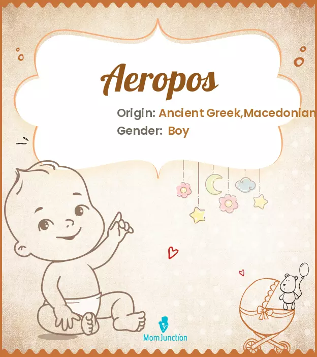 Aeropos_image