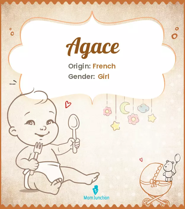 agace_image