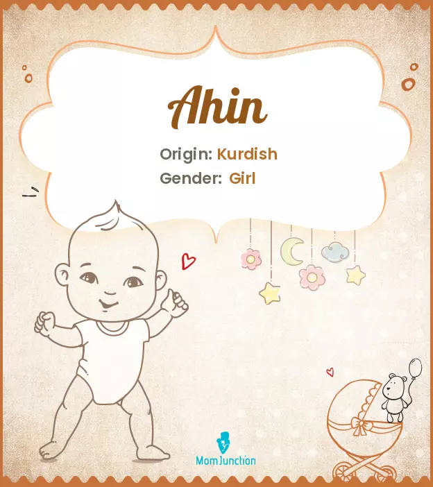 Ahin Baby Name: Meaning, Origin, Popularity_image