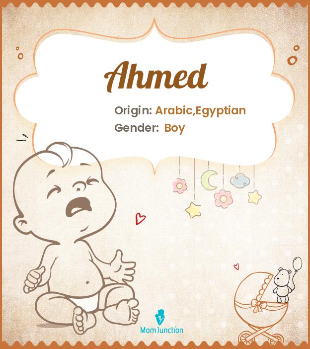 ahmed ahmed