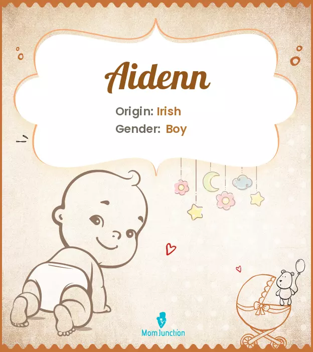 aidenn_image