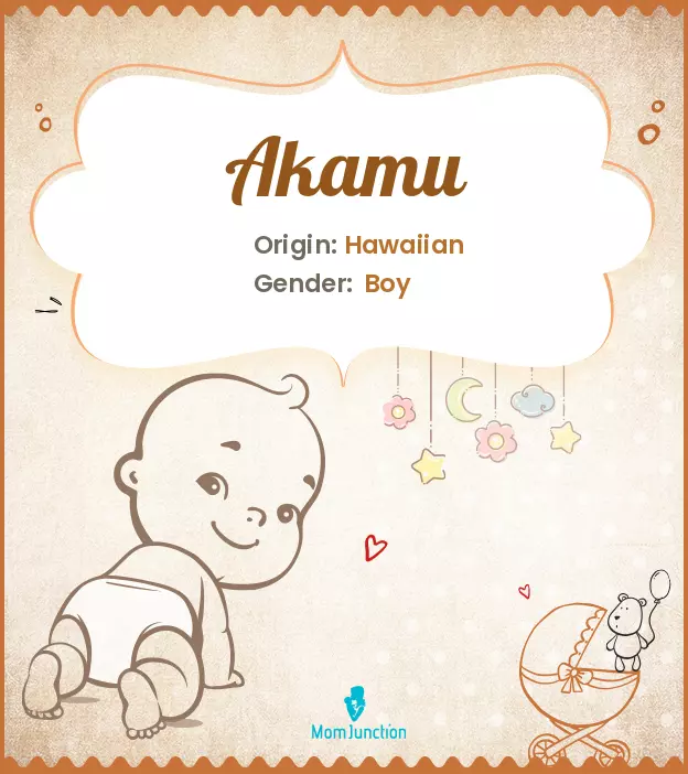 Akamu Baby Name: Meaning, Origin, Popularity_image