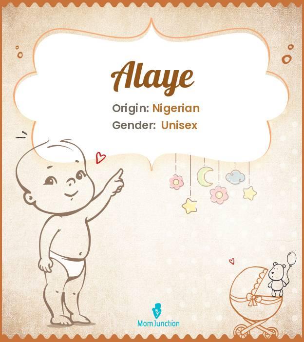 Alaye Baby Name: Meaning, Origin, Popularity_image