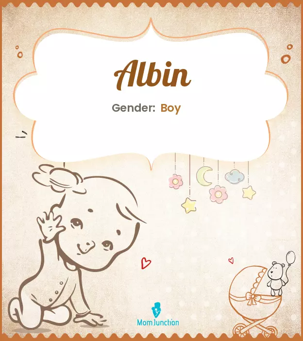 Albin Baby Name: Meaning, Origin, Popularity_image