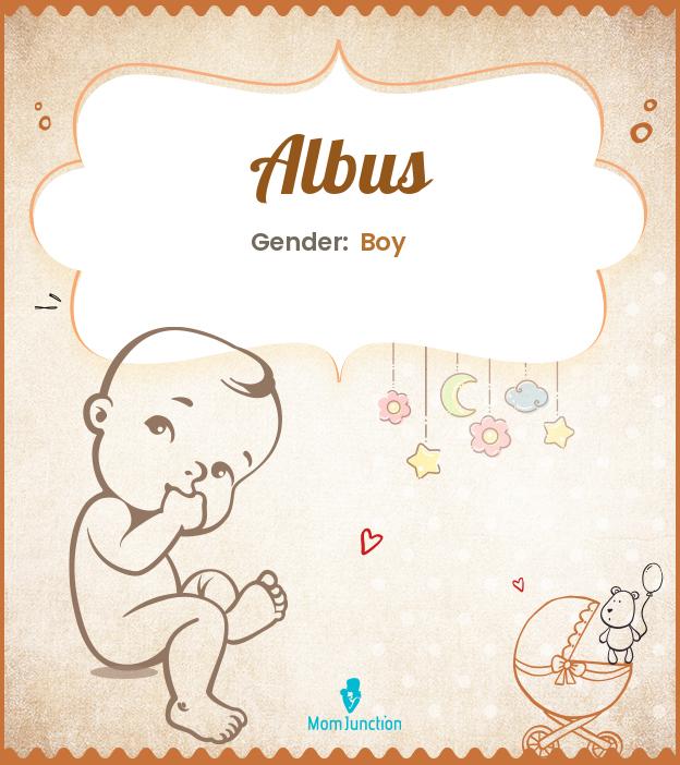 albus albus