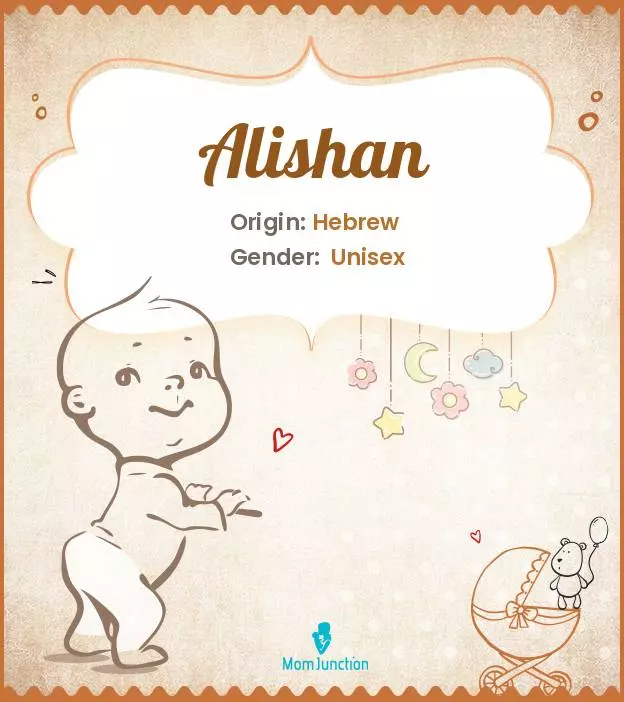 Alishan Baby Name: Meaning, Origin, Popularity_image