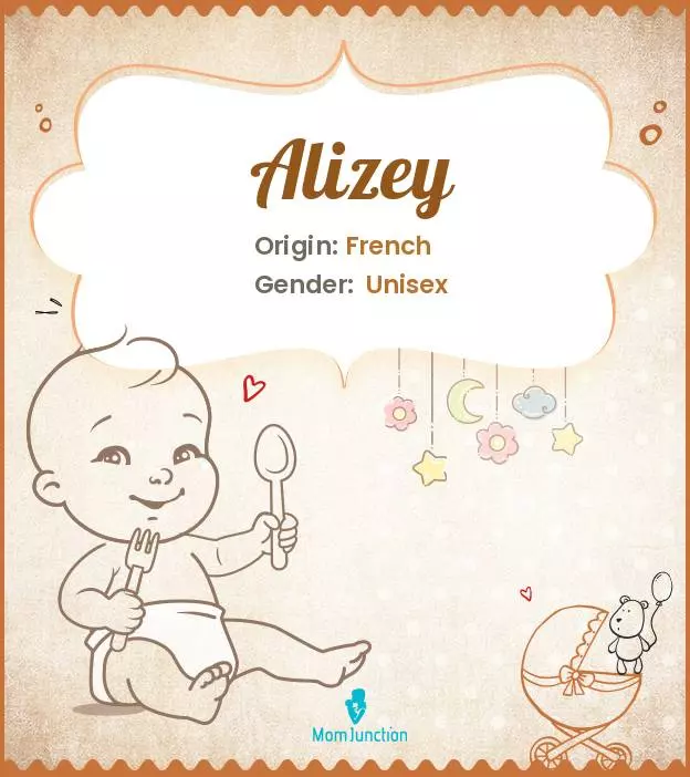 Alizey Baby Name: Meaning, Origin, Popularity_image