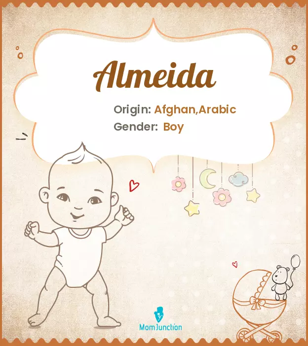 Almeida Baby Name: Meaning, Origin, Popularity_image