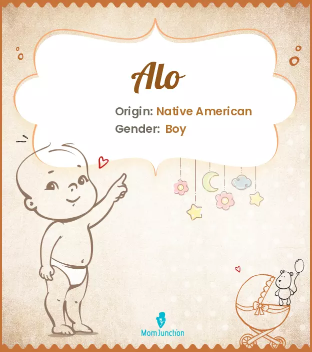 Alo Baby Name: Meaning, Origin, Popularity_image