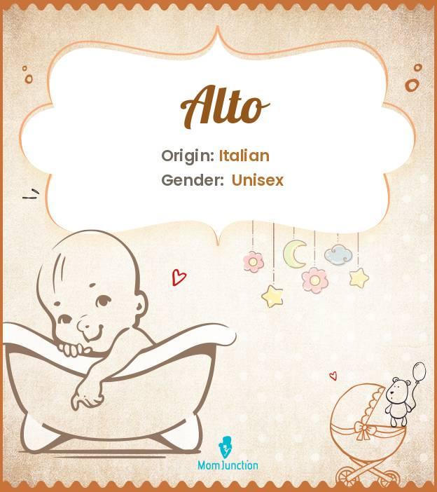  Alto Name Meaning Origin History And Popularity