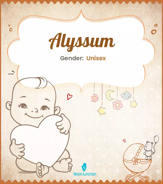 Alyssum Baby Name: Meaning, Origin, Popularity | MomJunction