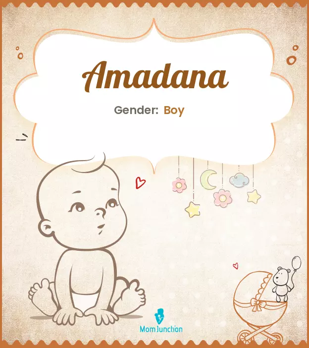 amadana_image