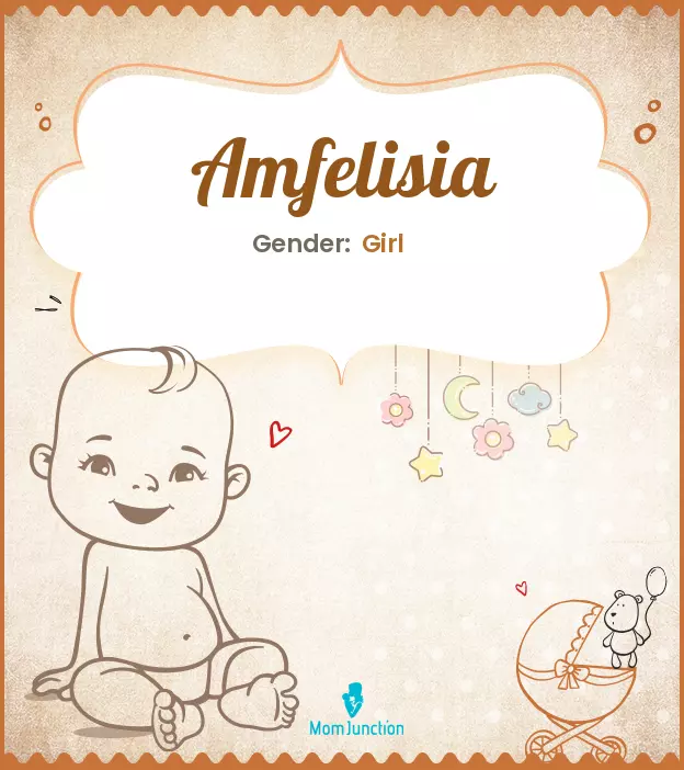 amfelisia_image