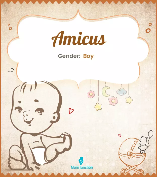 amicus_image