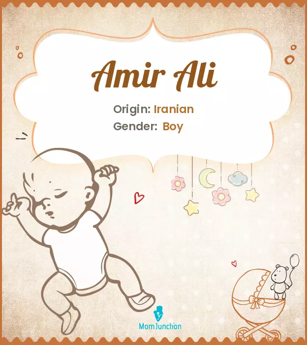 Amir Ali_image