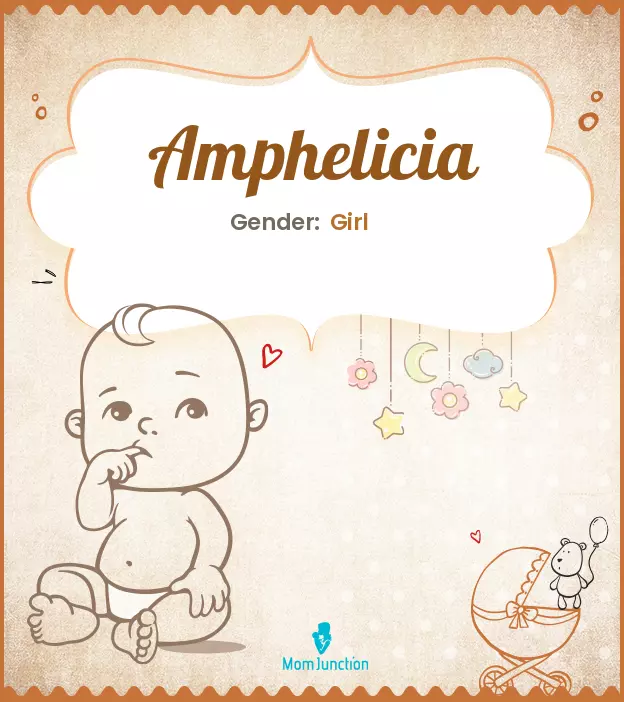 amphelicia_image