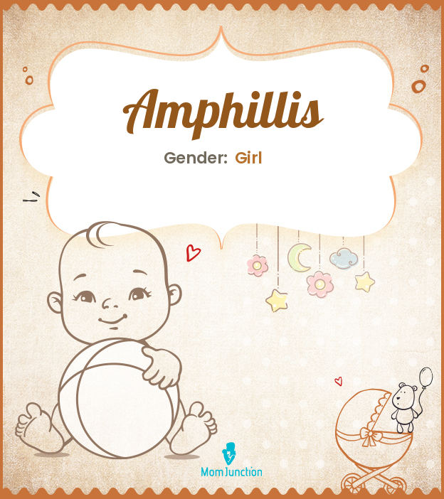 amphillis