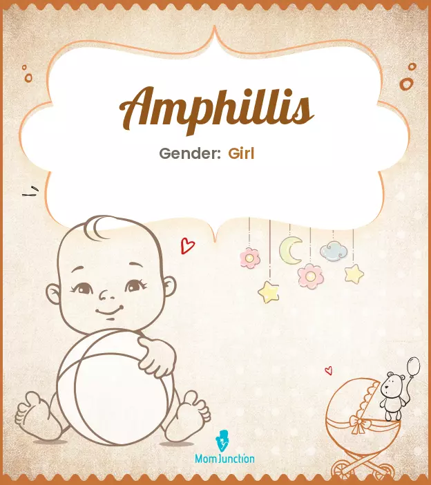 amphillis_image