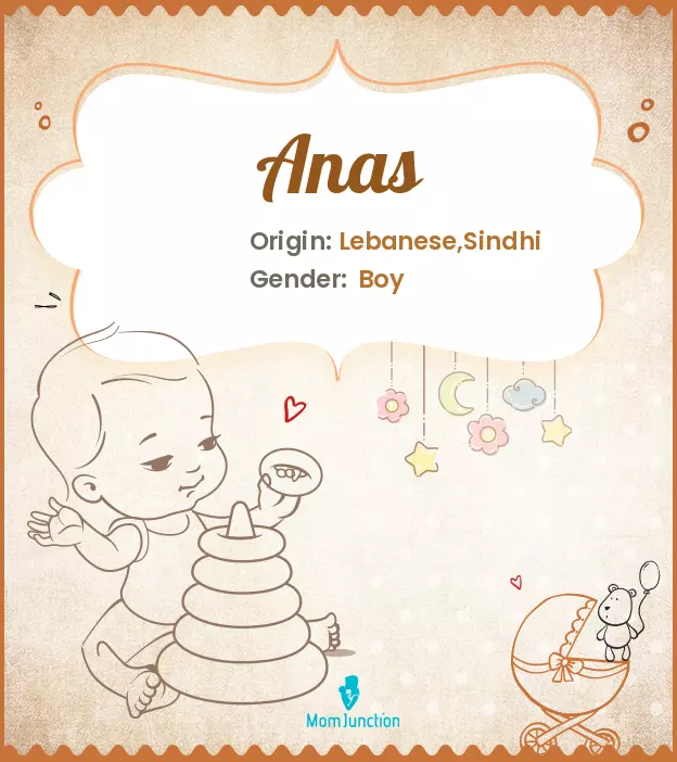 Anas Baby Name: Meaning, Origin, Popularity | MomJunction