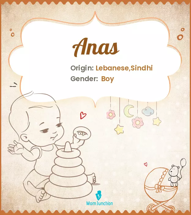 Anas Baby Name: Meaning, Origin, Popularity_image