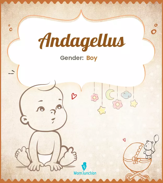 andagellus_image