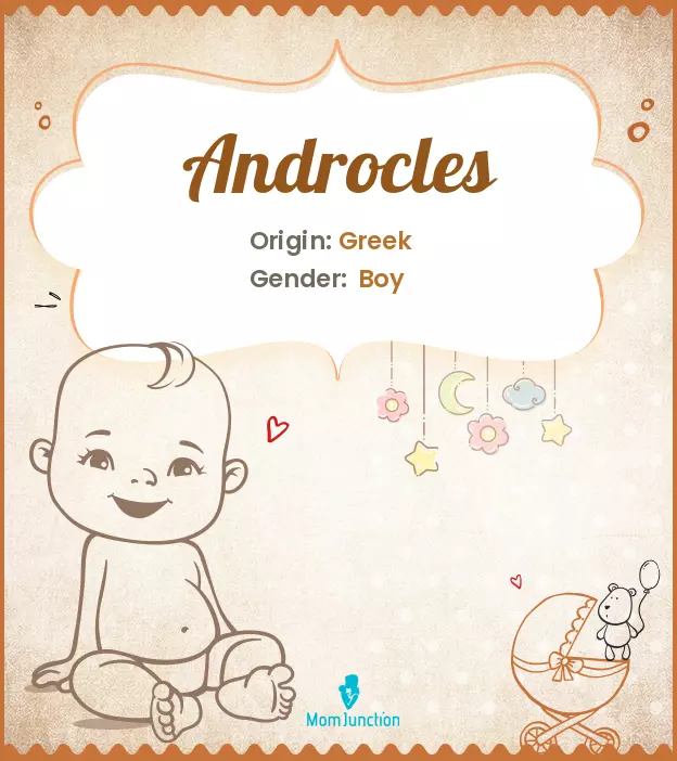 androcles