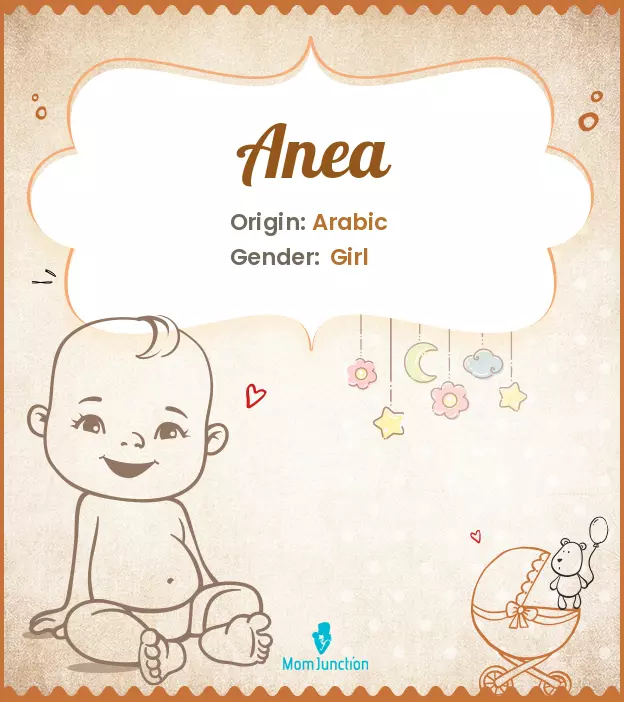 Anea Baby Name: Meaning, Origin, Popularity_image