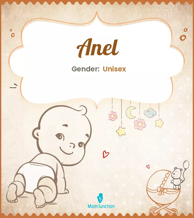 Anel Baby Name: Meaning, Origin, Popularity_image