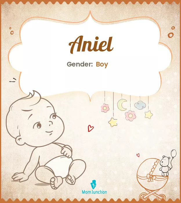 Aniel Baby Name: Meaning, Origin, Popularity_image