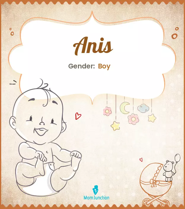 Anis Baby Name: Meaning, Origin, Popularity | MomJunction