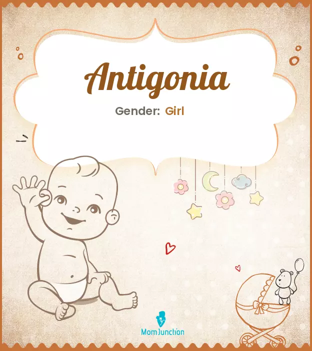 antigonia_image