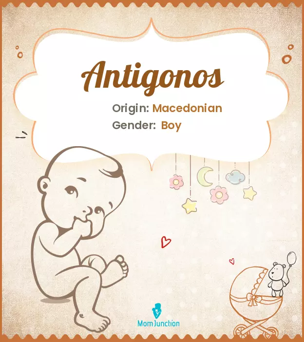 Antigonos_image