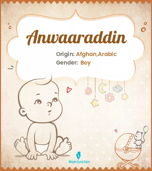 Anwaaraddin_image