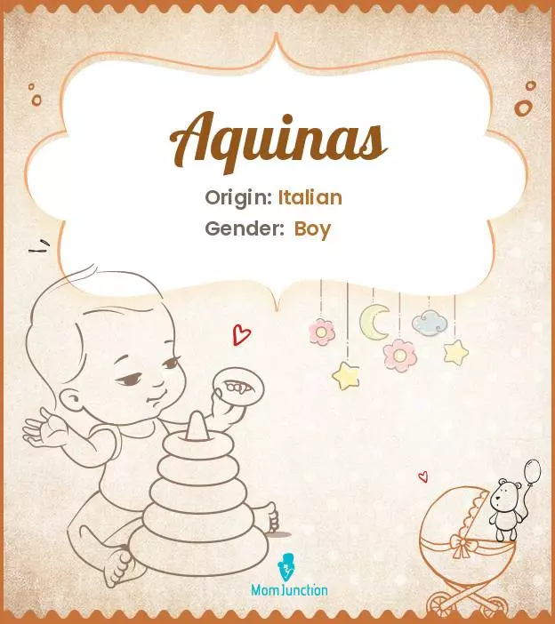 Aquinas Baby Name: Meaning, Origin, Popularity_image