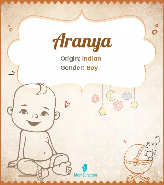 Aranya Baby Name: Meaning, Origin, Popularity | MomJunction