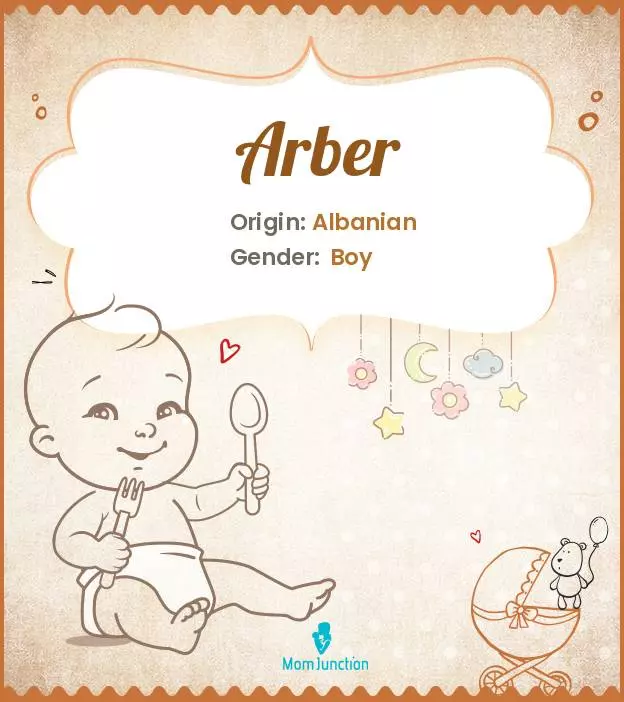 Arber Baby Name: Meaning, Origin, Popularity | MomJunction