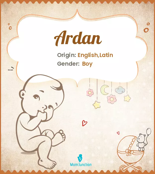 Ardan Baby Name: Meaning, Origin, Popularity | MomJunction