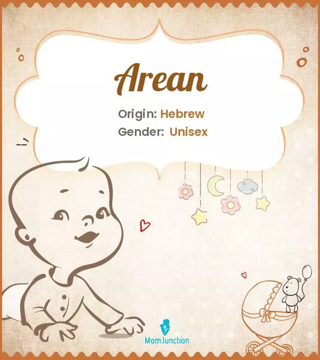 Baby Name Arean Meaning, Origin, And Popularity