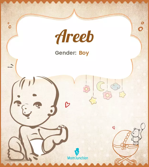 areeb