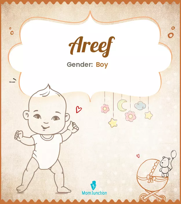 Areef Baby Name: Meaning, Origin, Popularity | MomJunction