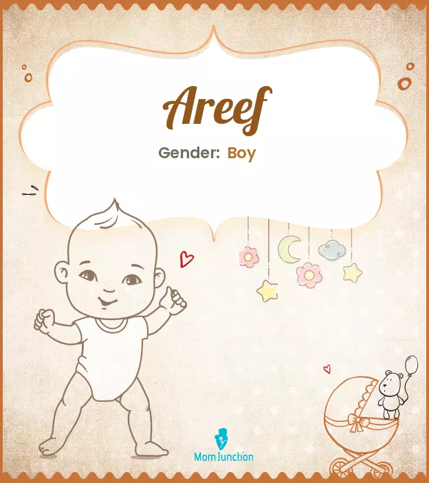 Areef Baby Name: Meaning, Origin, Popularity_image