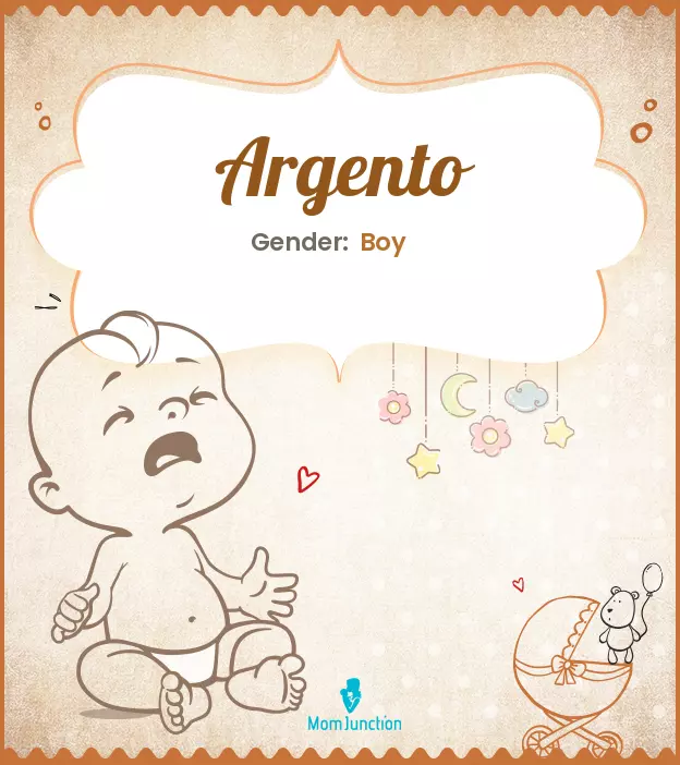 Argento Baby Name: Meaning, Origin, Popularity_image