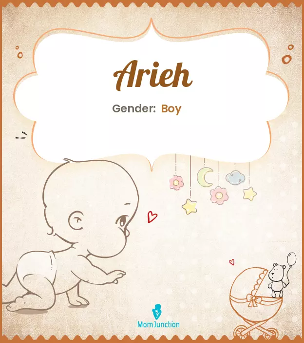 Arieh Baby Name: Meaning, Origin, Popularity_image