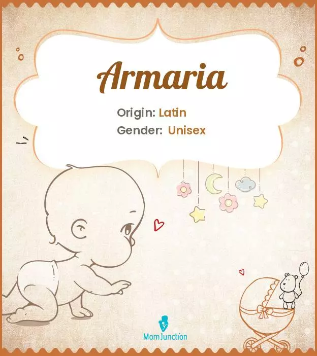 Armaria Baby Name: Meaning, Origin, Popularity_image