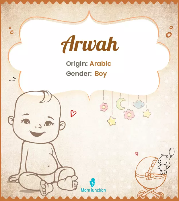 Arwah Baby Name: Meaning, Origin, Popularity_image