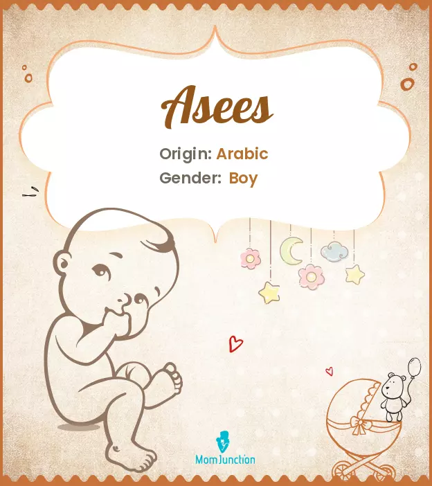 Asees Baby Name: Meaning, Origin, Popularity_image